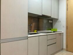 Midtown Residences (D19), Apartment #478721601